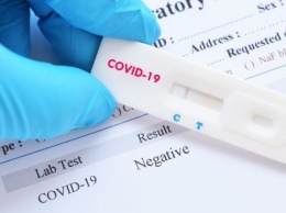ВОЗ планирует обеспечить бедные страны экспресс-тестами на коронавирус