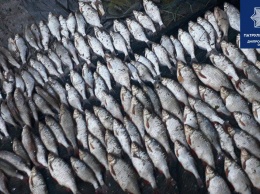 На Днепре задержали рыбаков-браконьеров с наркотиками
