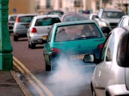 Домашний скот загрязняет воздух сильнее автомобилей