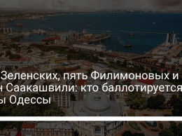 Два Зеленских, пять Филимоновых и один Саакашвили: кто баллотируется в мэры Одессы