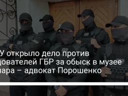 НАБУ открыло дело против следователей ГБР за обыск в музее Гончара - адвокат Порошенко