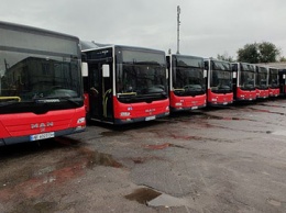 Стало известно, на какие маршруты Днепра выйдут новые автобусы большой вместимости