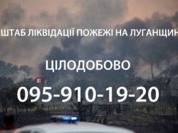 Заработал круглосуточный штаб по оказанию помощи пострадавшим в результате пожаров на Луганщине