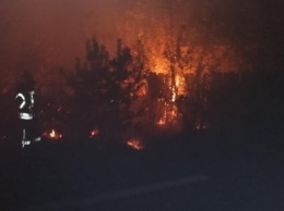 На пожарах в Луганской области погибли три человека, еще трое госпитализированы