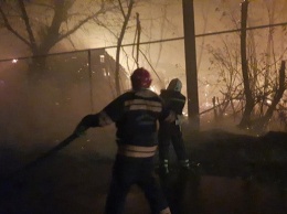 Пожары на Луганщине: огонь угрожает 22 населенным пунктам