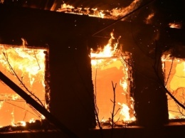 Кабмин выделит средства на ликвидацию последствий пожаров на Луганщине