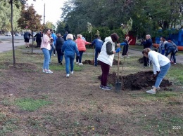 Одесские учителя посадили сотню деревьев на Поселке Котовского и на Таирова