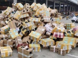 На китайском предприятии обнаружили около 5 тысяч контейнеров с умершими животными