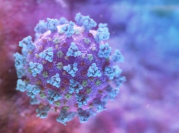 Антитела к коронавирусу начинают исчезать спустя три месяца - ученые