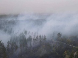 Пожары в Луганской области: информация к этому часу