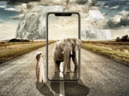 Слон нашел смартфон туриста и устроил ему краш-тест: похоже, он не любит айфоны