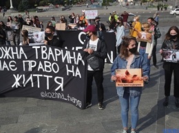 В центре Киева зоозащитники требовали запретить охоту и эвтаназию животных