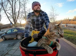 Встреча изменившая жизнь: как бездомная кошка отправилась в кругосветку