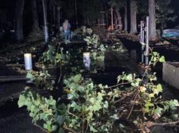 В Ивано-Франковске ураган повалил деревья и электроопоры