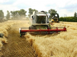 Уменьшение урожая зерна на 10 миллионов тонн не будет катастрофой для Украины - эксперт