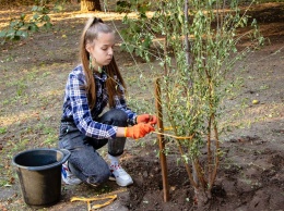 Днепр цветущий: воспитанники кружка «Юные экологи» показали, как высаживать плодовые деревья
