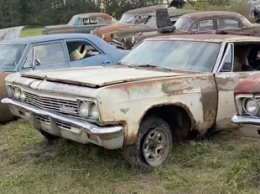 Блогеры купили кладбище старых авто: как выглядят машины