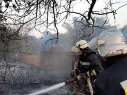 Пожар в Луганской области: полиция назвали источники огня