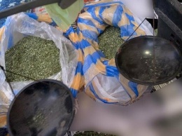 У жителя Бердянска полиция изъяла наркотические вещества на сумму 0,5 миллиона гривен