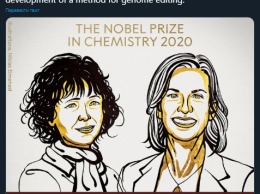 Нобелевскую премию по химии в 2020 году присудили за развитие методов внесения изменений в ДНК
