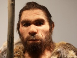 Опасное наследие неандертальца: какая связь с коронавирусом?