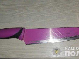В Павлоград доставлен мужчина нанесший пять ножевых ударов своей бывшей супруге