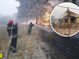 Тут жили люди: в сети показали драматические фото пожаров под Луганском