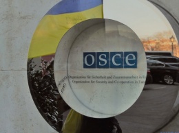 Украина заявила в ОБСЕ о поджоге оккупантами возле Попасной