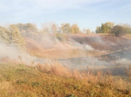 Ветер принес пожары из России в Харьковскую область