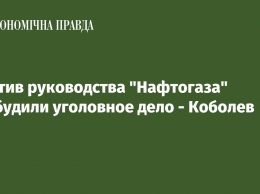 Против руководства "Нафтогаза" возбудили уголовное дело - Коболев