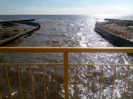 Море в Одесской области покраснело из-за самого бурного за 15 лет роста водорослей