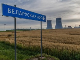 В Беларуси запустили цепную реакцию на АЭС