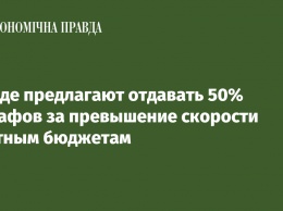 В Раде предлагают отдавать 50% штрафов за превышение скорости местным бюджетам