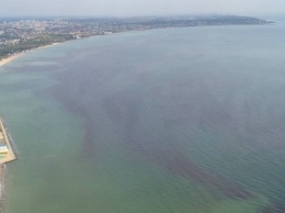 В Одессе море окрасилось в красный цвет: Токсины в воде могут привести к аллергии и отравлению