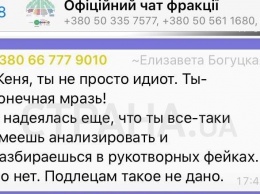 "Токсичная и кислотная" против "тупого ботинка". Все о скандале между нардепами Богуцкой и Качурой