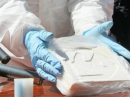 Пограничники с начала года перекрыли контрабанду кокаина на миллиард гривень