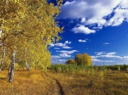 Такого мерзкого холода еще не было: синоптики заявили про конец "бабьего лета"