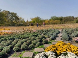 Работники Криворожского ботанического сада возмущены поведением некоторых посетителей, которые ведут себя нецивилизованно