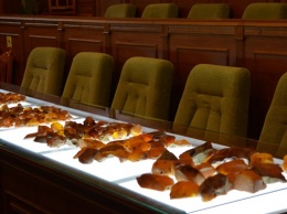 В Украине прошел первый аукцион по продаже янтаря