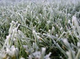 В Украине ударят заморозки: синоптик рассказал, где уже сегодня ждать снега
