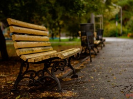 Время для грусти и фотографий в листьях: в каких парках Днепра встретить середину осени