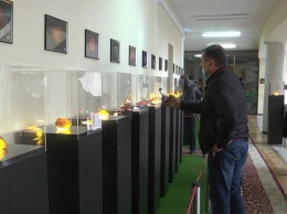 В Украине провели первый аукцион по продаже янтаря (видео)