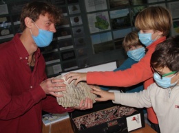 В Виннице краеведческому музею передали зуб мамонта