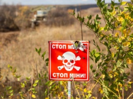 На Донбассе разминировали 35 тысяч гектаров земли - Наев