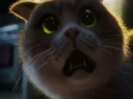 Выпустили первый фильм ужасов для котов: главный антигерой - огурец (видео)