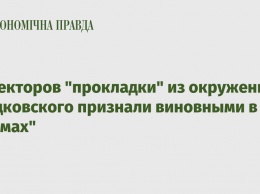 Директоров "прокладки" из окружения Гладковского признали виновными в "схемах"