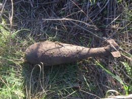 В Первомайском районе обнаружили артснаряд и минометную мину (ФОТО)