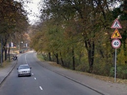 В Харькове кабаны остановили движение автомобилей