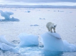 Море Лаптевых впервые не замерзло в этот период