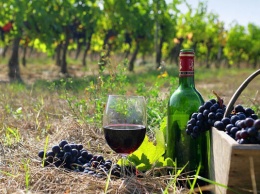 Минэкономики предлагает исключить из подакцизных товаров натуральные вина